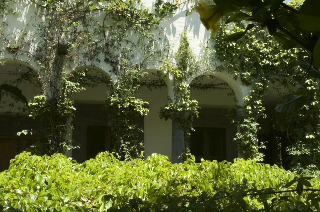 Casa Mision De San Miguel 호텔 산미겔데아옌데 외부 사진